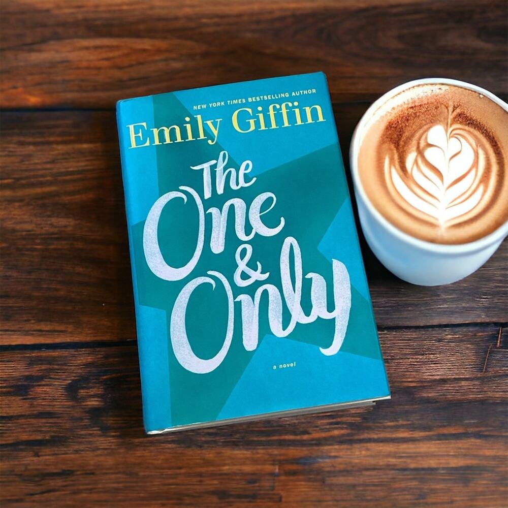 Emily Griffin The One & Only New Hardcover